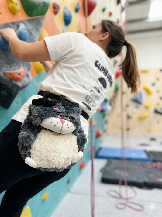 Grumpy cat Chalk Bag