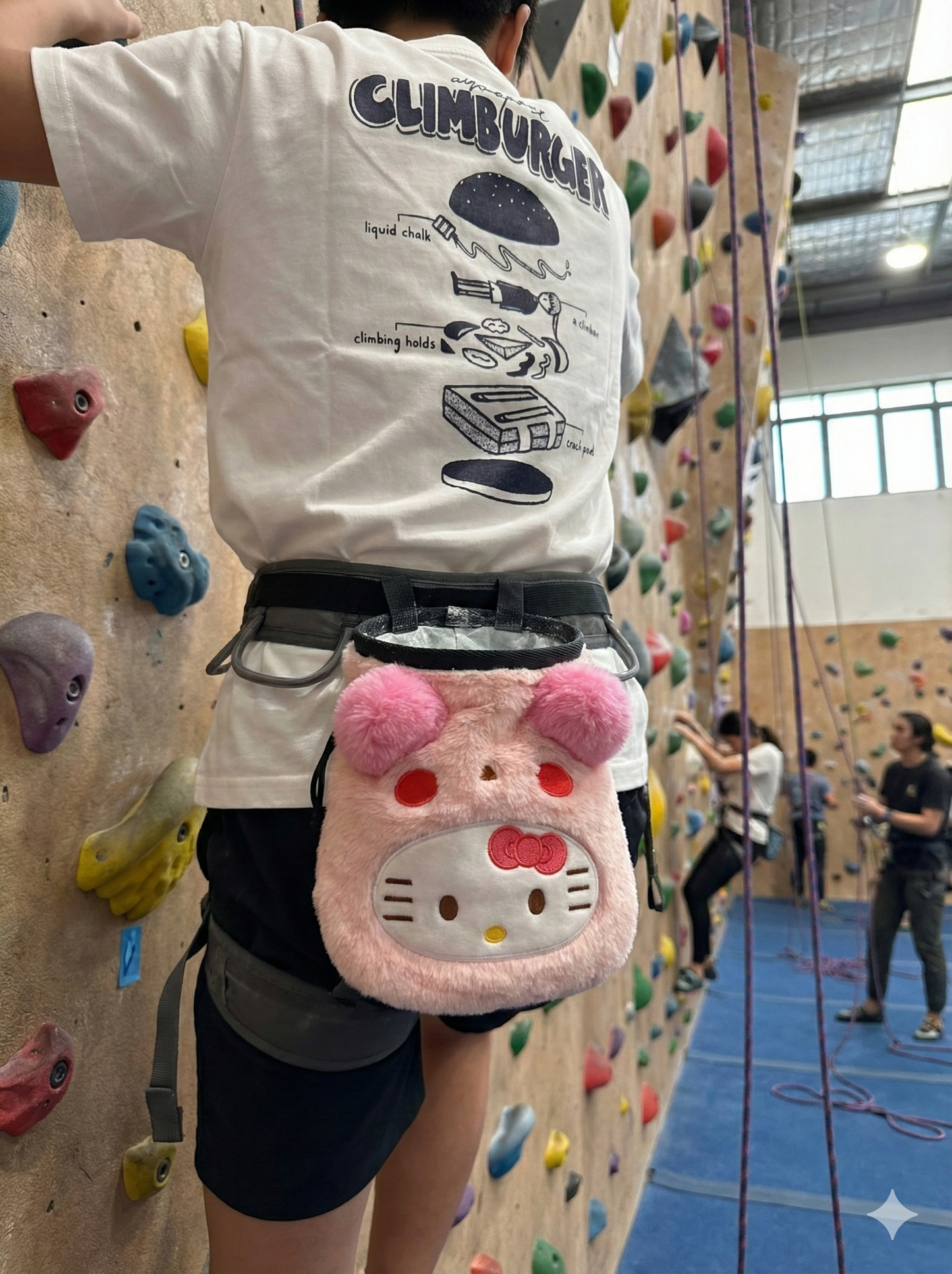 Pink Kitty Chalk Bag